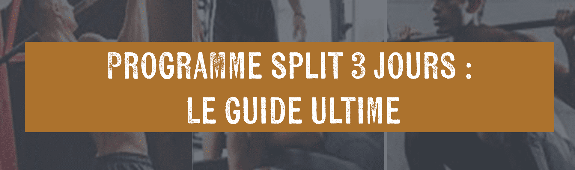 programme split 3 jours guide ultime