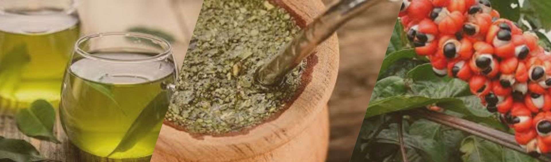 Les meilleures boissons brule graisse naturel