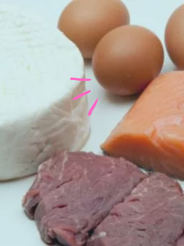 Les 10 aliments les plus riches en protéines _ les protéines végétale