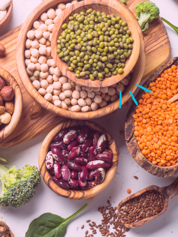 Les 10 aliments les plus riches en protéines _ les protéines végétales
