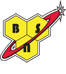logo bsn