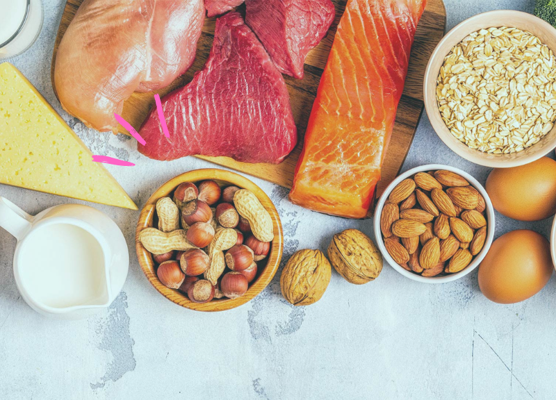 alimentation équilibrée